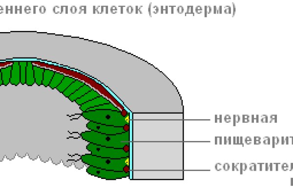 Как войти на кракен