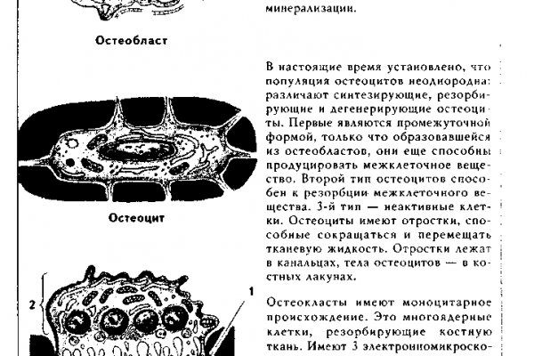 Кракен сайт в тор браузере