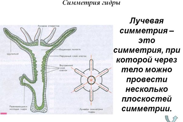 Кракен даркнет скачать